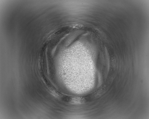 X0000054440757200508121844