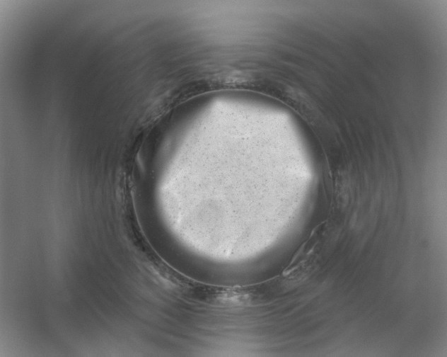 X0000054440760200508121844