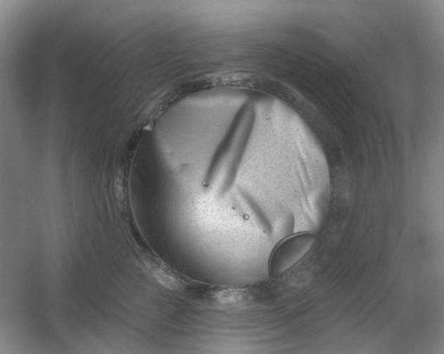 X0000054440761200508121844