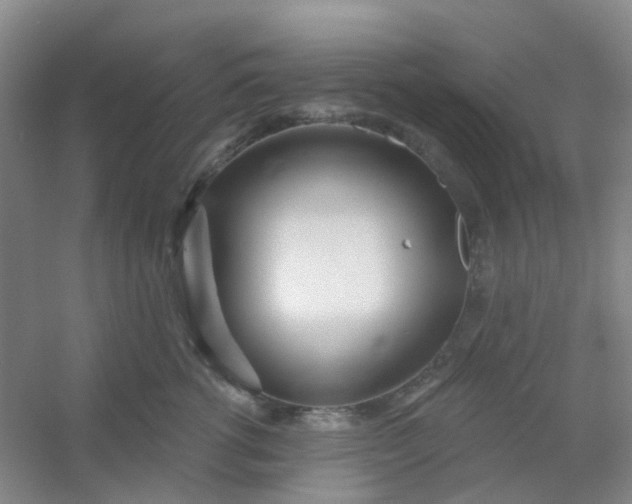 X0000054440762200508121844