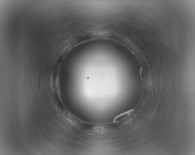 X0000054440764200508121844