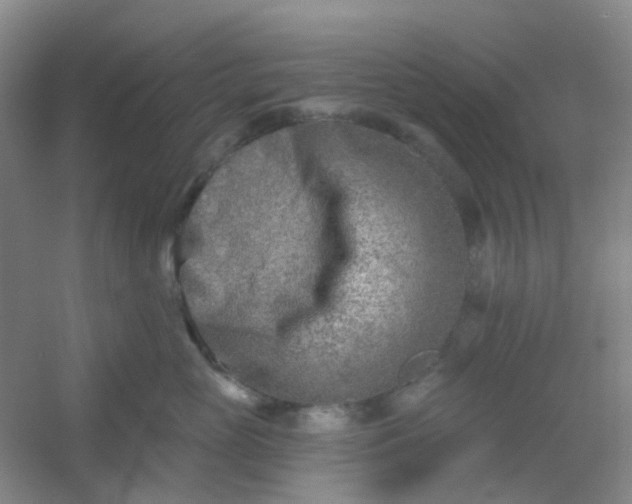 X0000054440765200508121844