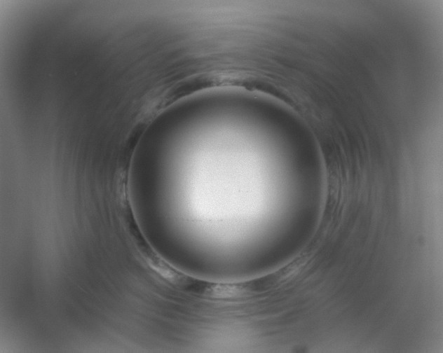 X0000054440766200508121844