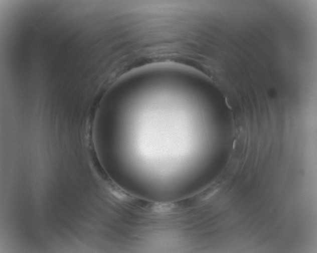 X0000054440767200508121844