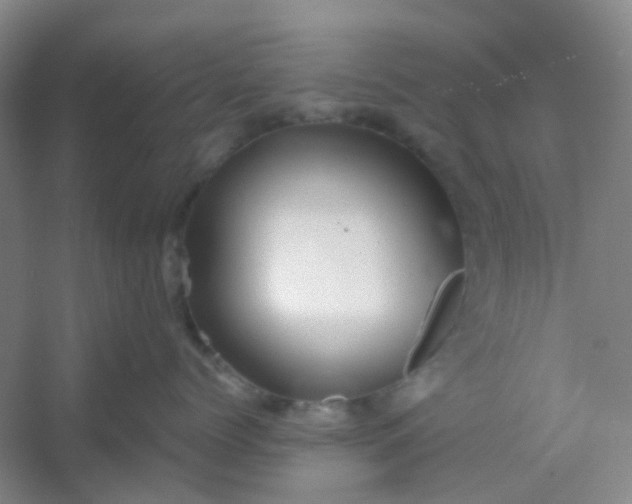 X0000054440768200508121844