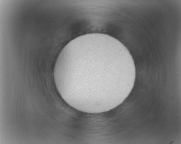 X0000054440769200508121844