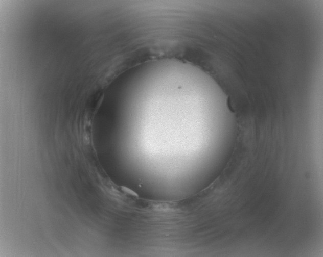 X0000054440770200508121844