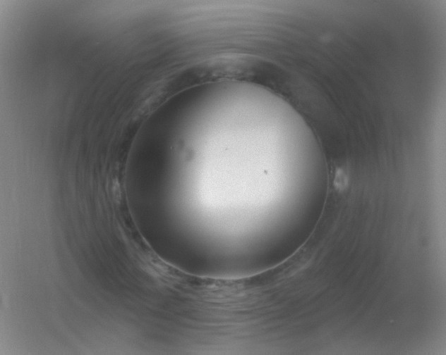 X0000054440771200508121844