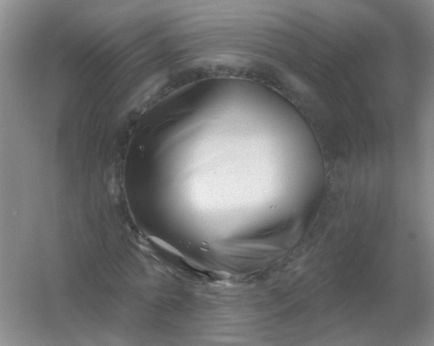 X0000054440774200508121844