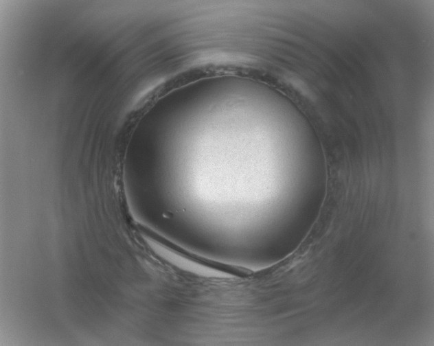 X0000054440775200508121843