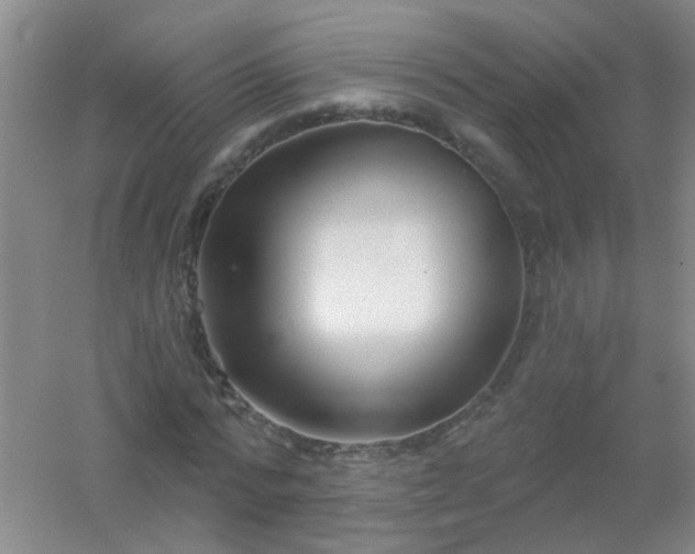 X0000054440776200508121843