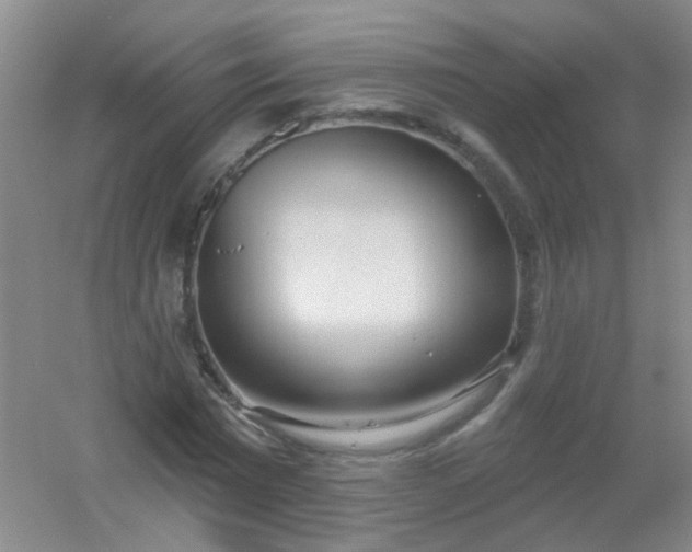 X0000054440777200508121843