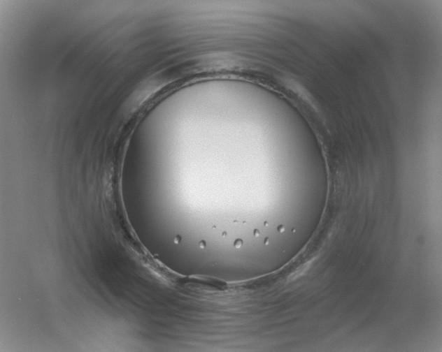 X0000054440778200508121843