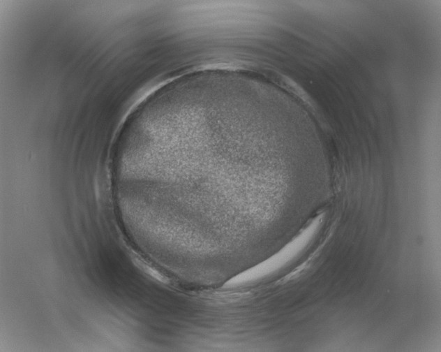 X0000054440779200508121843