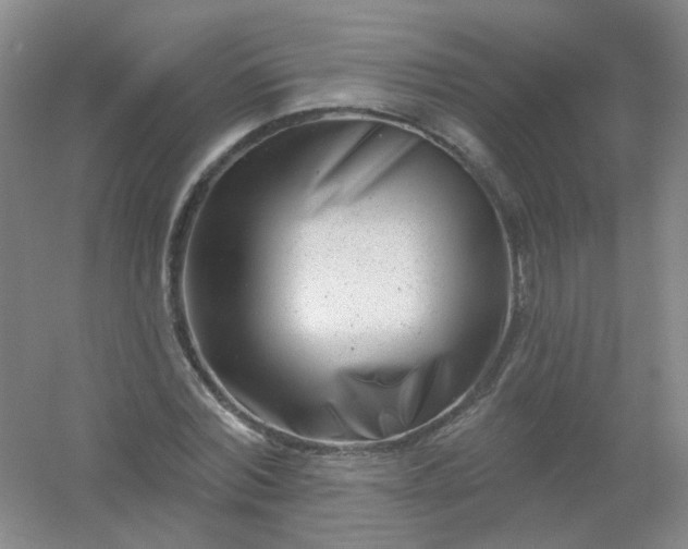 X0000054440780200508121843