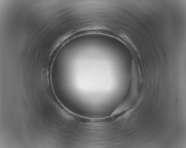 X0000054440781200508121843