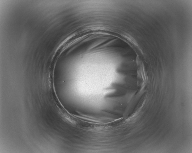 X0000054440782200508121843