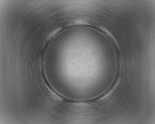 X0000054440785200508121843