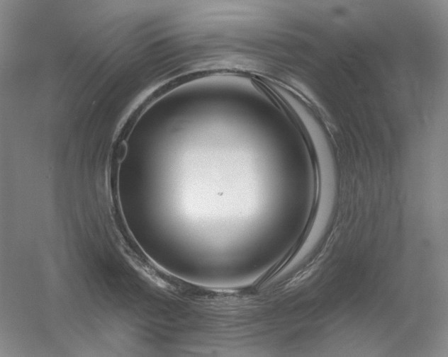 X0000054440788200508121843