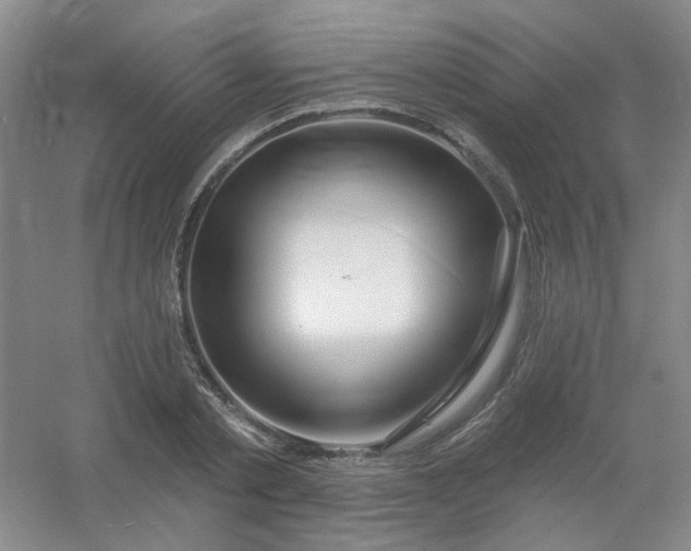 X0000054440789200508121843