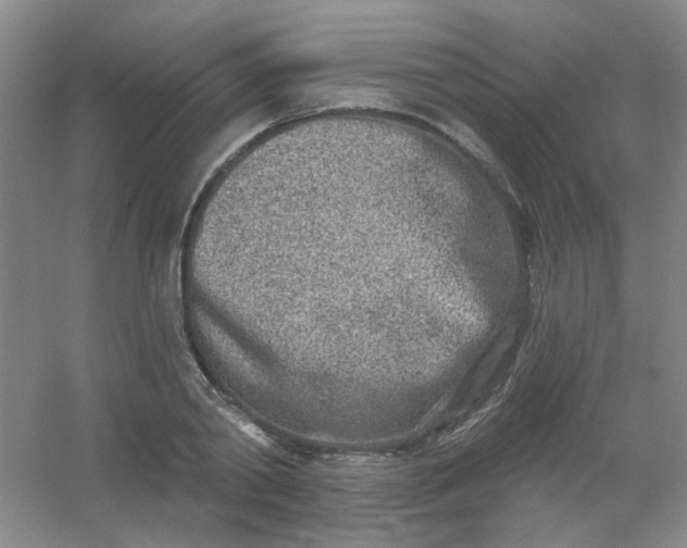 X0000054440790200508121843