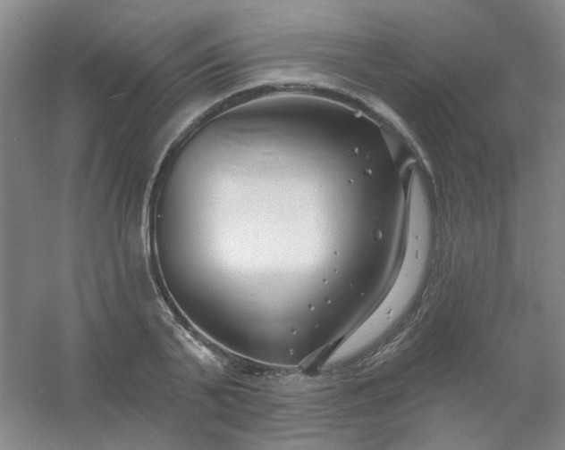 X0000054440791200508121843