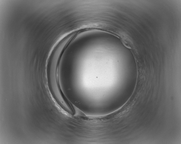 X0000054440792200508121843