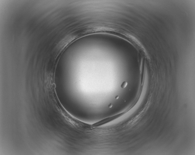 X0000054440793200508121843