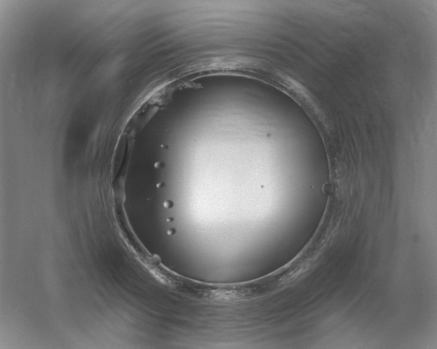 X0000054440794200508121843