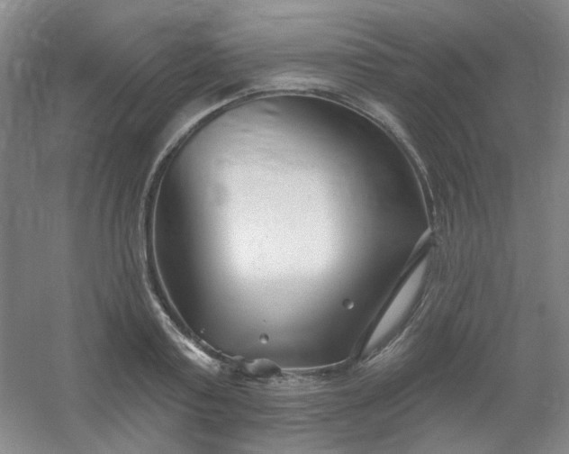 X0000054440795200508121843