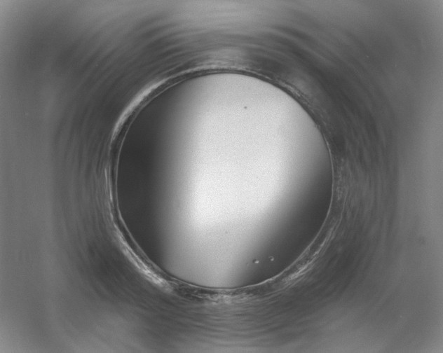 X0000054440796200508121843