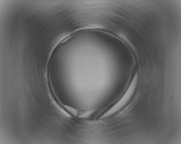 X0000054440797200508121843