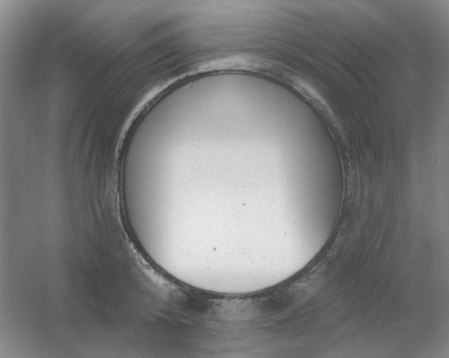 X0000054440800200508121843