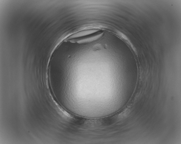 X0000054440802200508121843