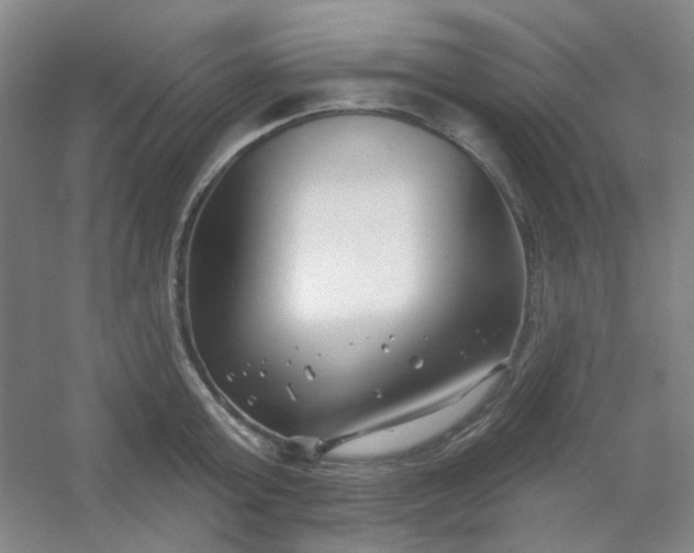 X0000054440803200508121843