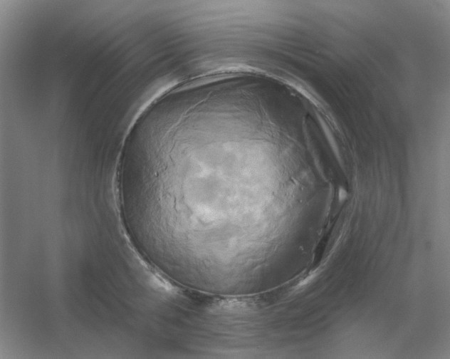 X0000054440806200508121843