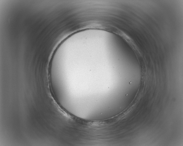 X0000054440808200508121843