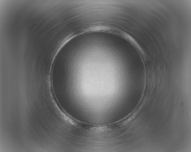 X0000054440810200508121843