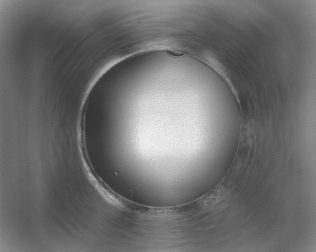 X0000054440811200508121843