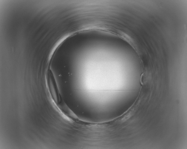 X0000054440812200508121843