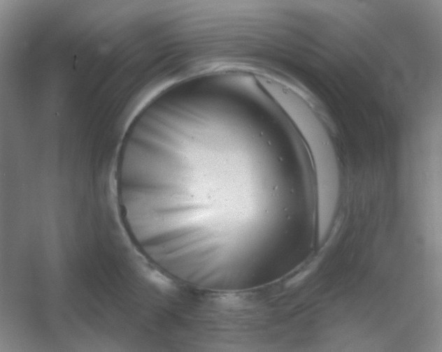 X0000054440814200508121843