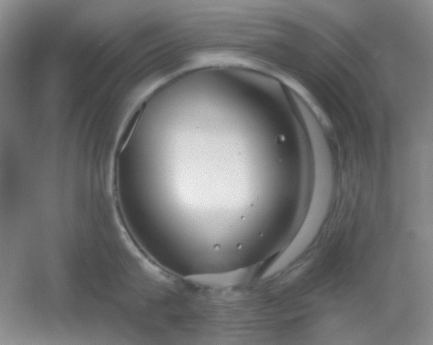 X0000054440815200508121843