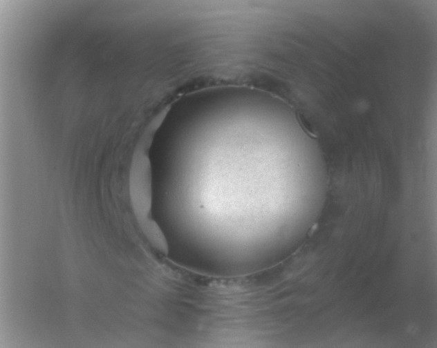 X0000054440817200508121842