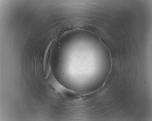 X0000054440818200508121842