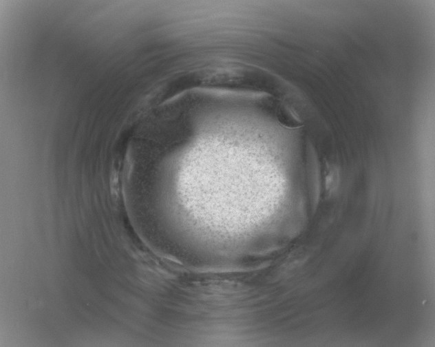 X0000054440819200508121842