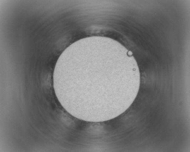 X0000054440820200508121842