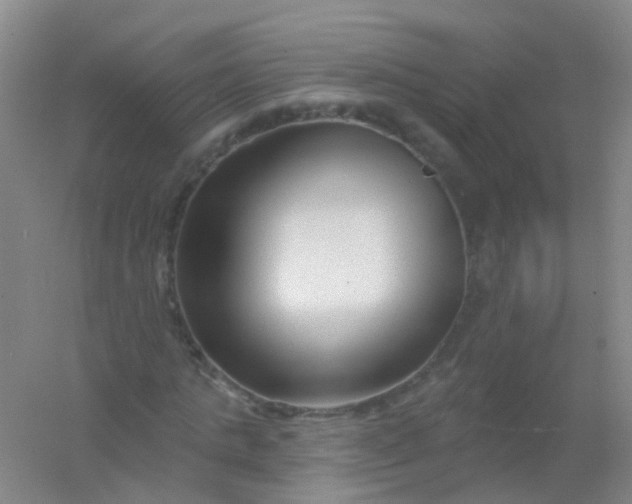 X0000054440821200508121842