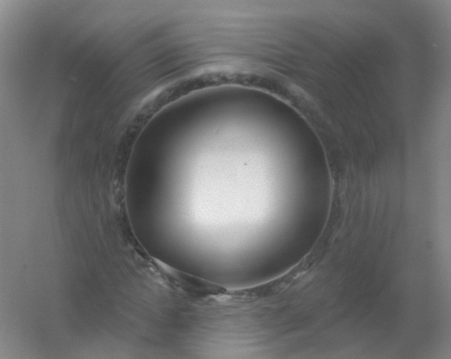 X0000054440822200508121842