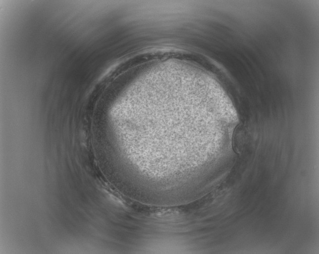 X0000054440823200508121842