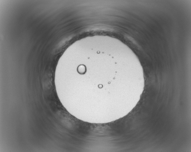 X0000054440824200508121842